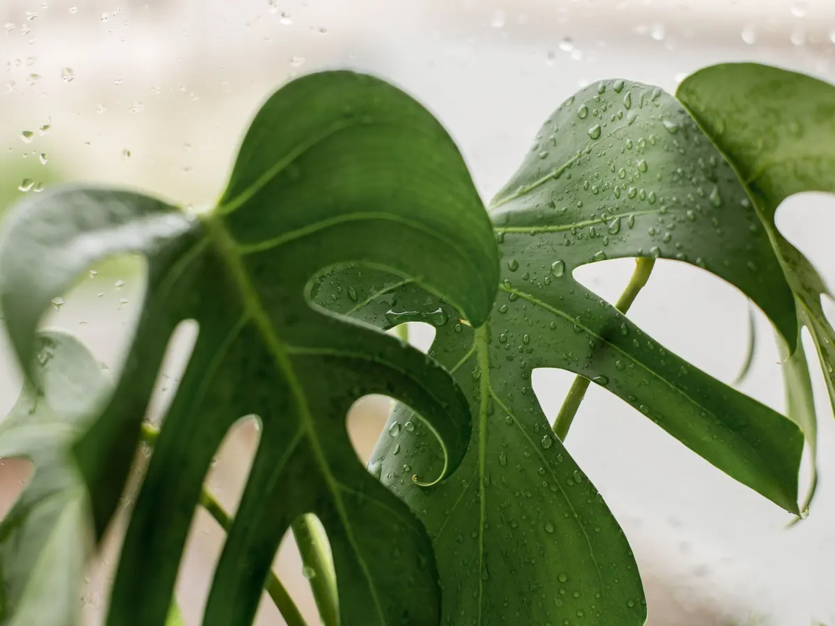 10 Poetry Prompts for Writing About Water and Weather